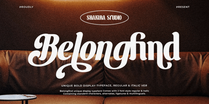 Belong Find Font Poster 1