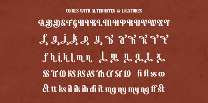 Belong Find Font Poster 10