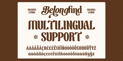 Belong Find Font Poster 8