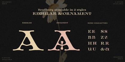 HV Bradbury Font Poster 10