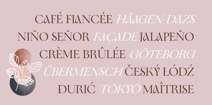 Fleurida Font Poster 4