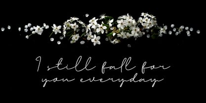 Katheriny Signature Font Poster 7