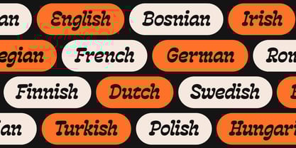 BBKV Rogger Font Poster 9