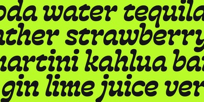 BBKV Rogger Font Poster 13