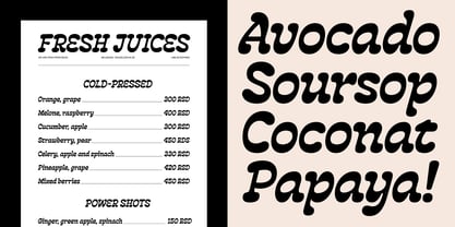 BBKV Rogger Font Poster 5