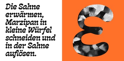 BBKV Rogger Font Poster 7