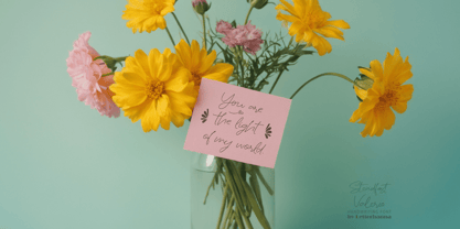 Steadfast Valerio Font Poster 6