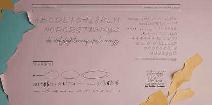 Steadfast Valerio Font Poster 3