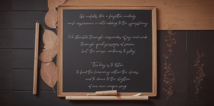 Steadfast Valerio Font Poster 9