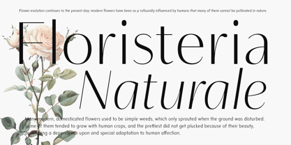 Neue Mylon Font Poster 5