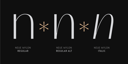 Neue Mylon Font Poster 4
