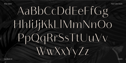 Neue Mylon Font Poster 11