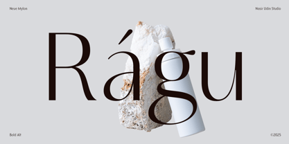 Neue Mylon Font Poster 9