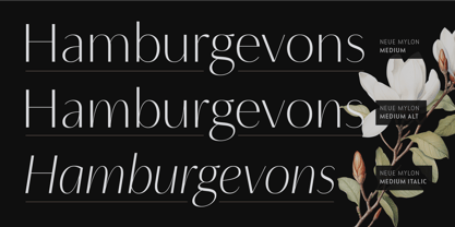 Neue Mylon Font Poster 3