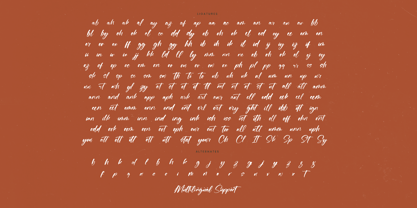 Flusteria Routine Font Poster 15