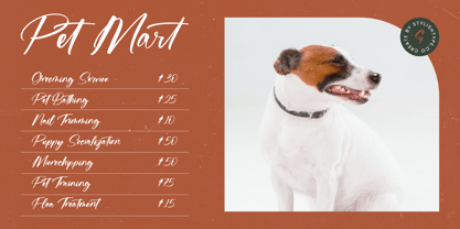 Flusteria Routine Font Poster 13