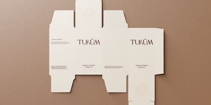 Carmana Font Poster 9