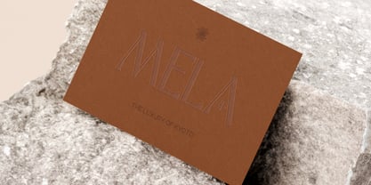 Carmana Font Poster 3