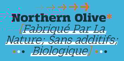 Salou Font Poster 6