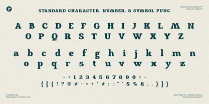 Locked Away Font Poster 11