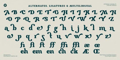 Locked Away Font Poster 10