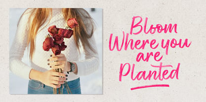 Rose Spe Font Poster 4