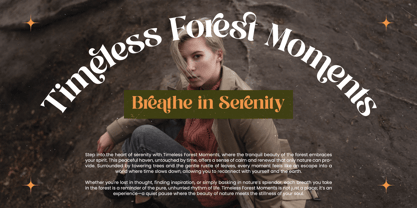 Runlight Harmony Font Poster 7