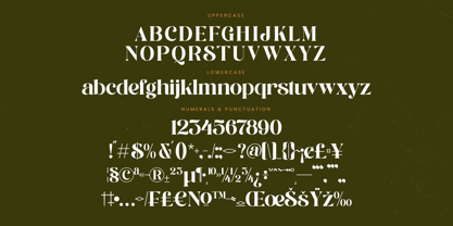 Runlight Harmony Font Poster 14