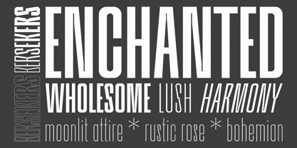 Bersekers Font Poster 3