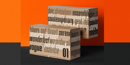 Bersekers Font Poster 7