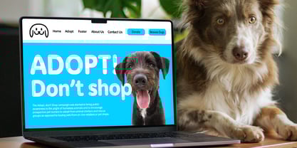 Ruggles Font Poster 5