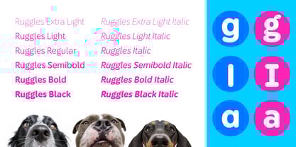 Ruggles Font Poster 4