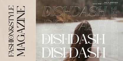Diggie Brown Font Poster 6