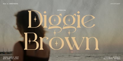 Diggie Brown Font Poster 1