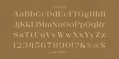 Diggie Brown Font Poster 10