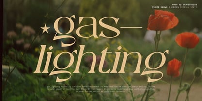 Diggie Brown Font Poster 3