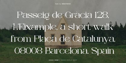 Diggie Brown Font Poster 5