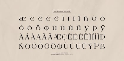 Diggie Brown Font Poster 11