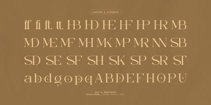 Diggie Brown Font Poster 12