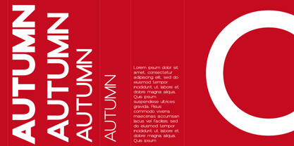 Tenova Font Poster 3