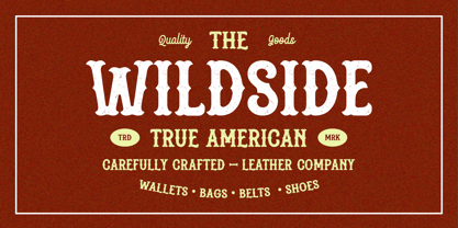 Gashroad Font Poster 11