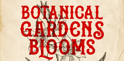 Gashroad Font Poster 9