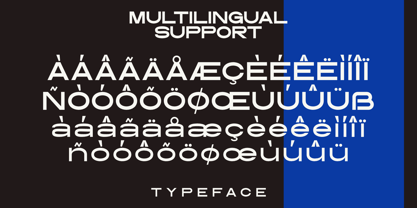 Dismantle Font Poster 5