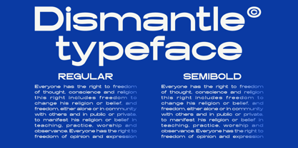 Dismantle Font Poster 2