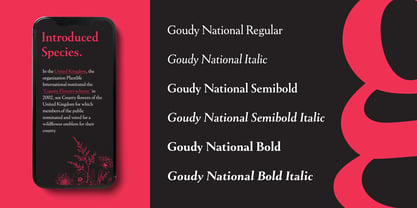 Goudy National Font Poster 5