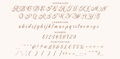 Sheilaria Font Poster 11
