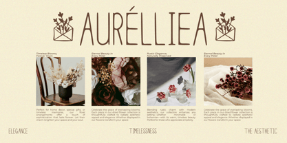 Lumirea Font Poster 2