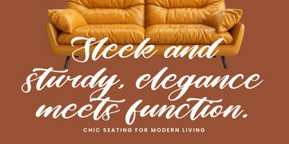 Birdsta Creamy Font Poster 10