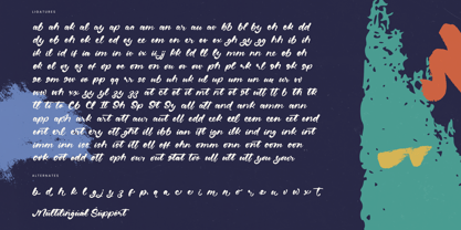 Bluder Quintal Font Poster 15