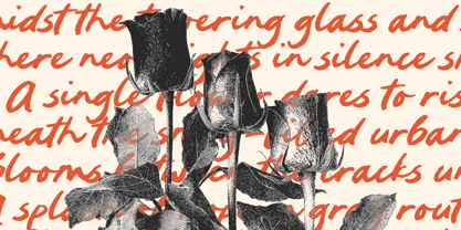 Wicked Nightmare Font Poster 5